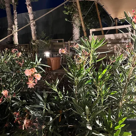 The Originals Relais D’aubagne 3* Aubagne